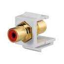 Rutenbeck Cinch-Keystone Schwarz für Montageadapter...