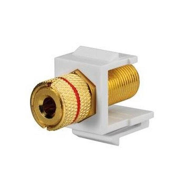 Rutenbeck LS-Keystone Rot für Montageadapter KMK-MA Up