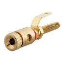 Rutenbeck Lautsprecher-Buchse für Montageadapter...
