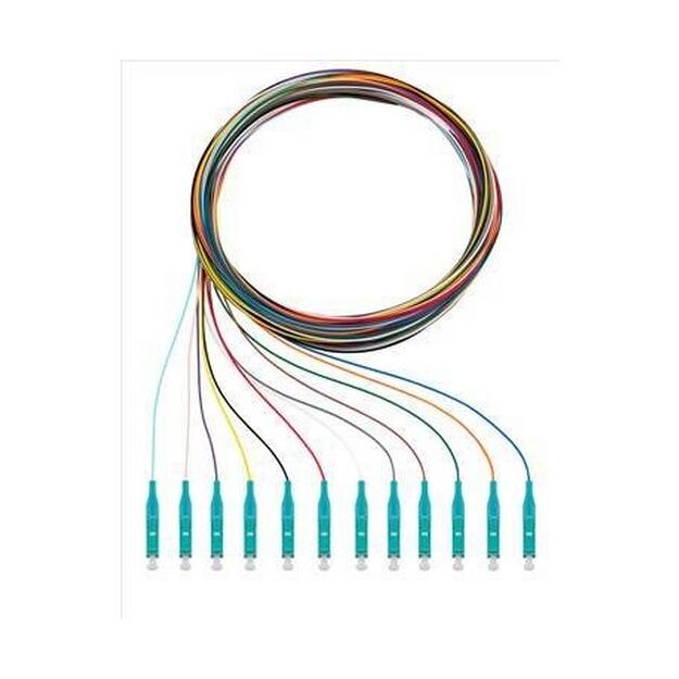 Rutenbeck Pigtails 12xLC OM3 2m