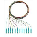 Rutenbeck 228040002 Pigtails 12xLC OM3 2m