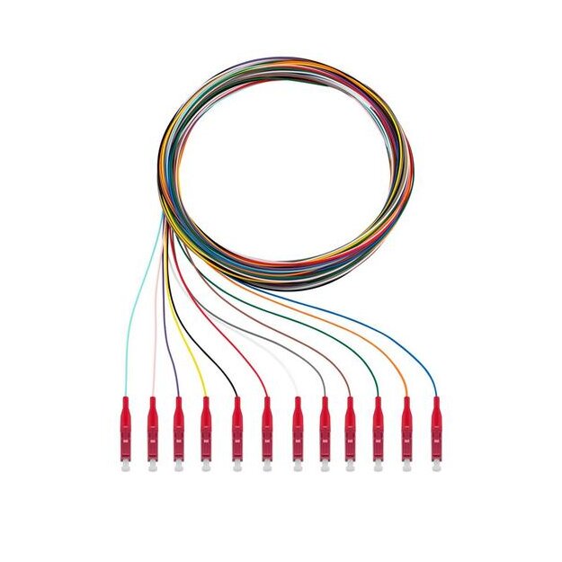 Rutenbeck Pigtails 12xLC OM4 2m