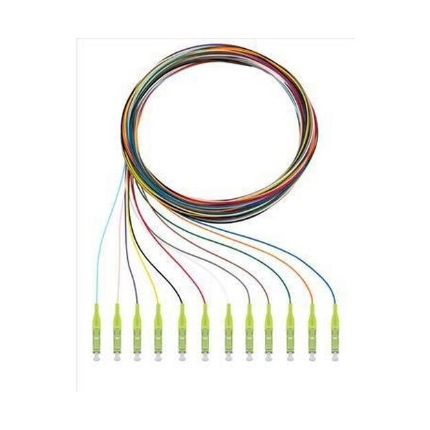 Rutenbeck Pigtails 12xLC OM5 2m