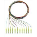 Rutenbeck 228040202 Pigtails 12xLC OM5 2m