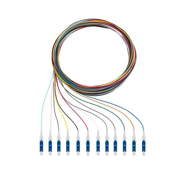 Rutenbeck Pigtails 12xLC OS2 2m