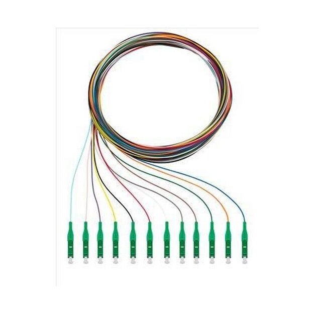 Rutenbeck Pigtails 12xLC OS2 APC 2m