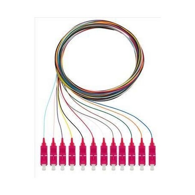 Rutenbeck Pigtails 12xSC OM4 2m