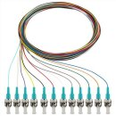 Rutenbeck 228041002 Pigtails 12xST OM3 2m