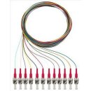 Rutenbeck 228041102 Pigtails 12xST OM4 2m