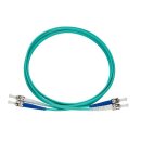 Rutenbeck ST-D/ST-D Patchkabel OM4 Erika 2m