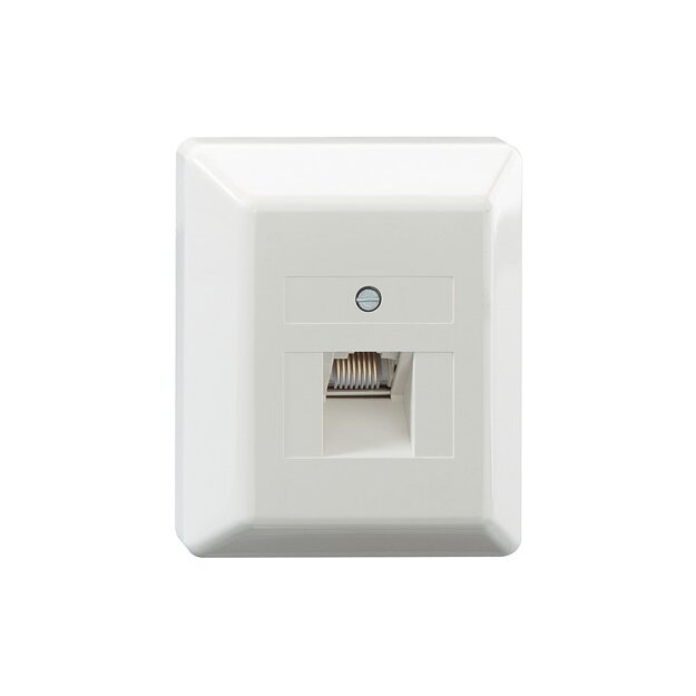 Rutenbeck Cat.6A iso U-Netzwerkdose ungeschirmt 1-fach Aufputz Reinweiß UAE-Cat.6A iso-8 U Ap rw