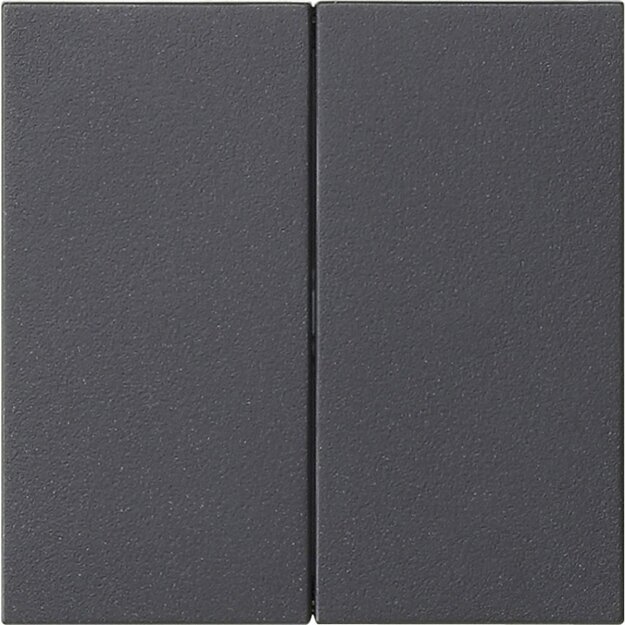Gira 537028 Wippe 2-fach unbedruckt System 55 Anthrazit