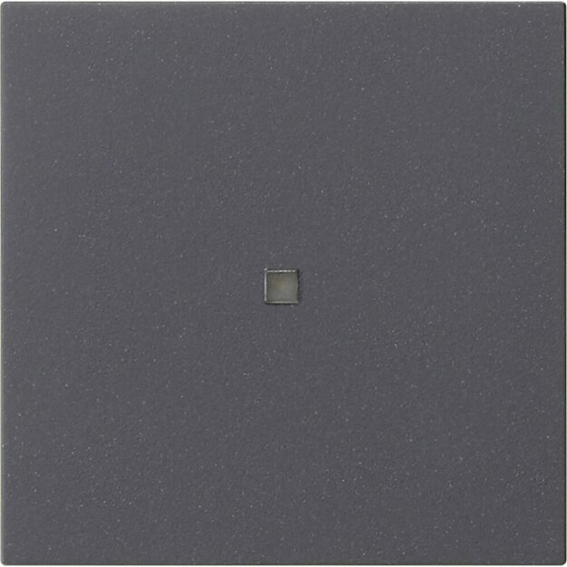 Gira 537128 Wippe 1-fach unbedruckt Kontrollfenster System 55 Anthrazit