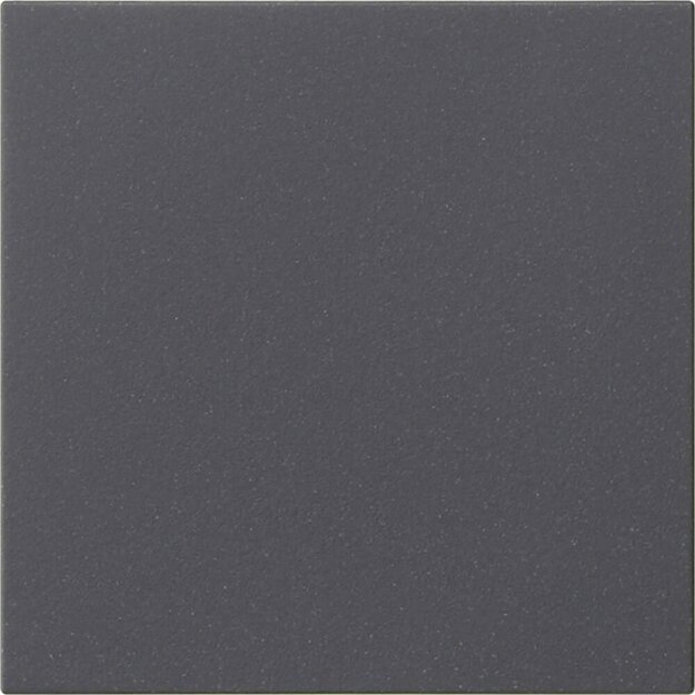 Gira 537228 Wippe 1-fach unbedruckt System 55 Anthrazit