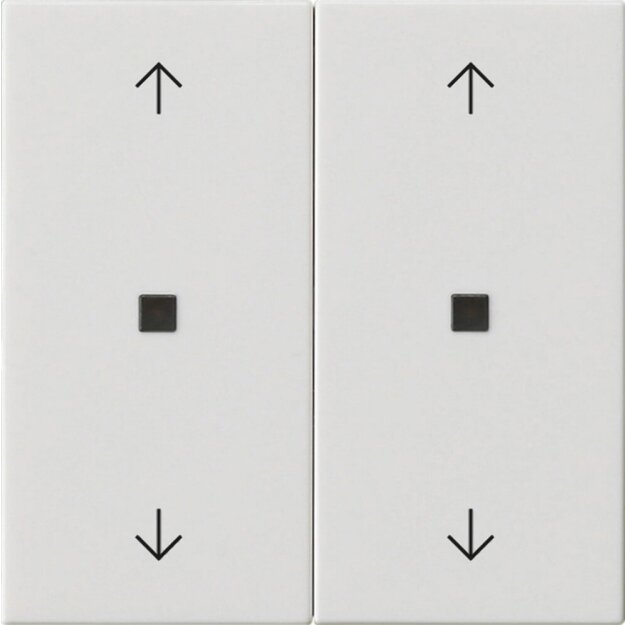 Gira 538603 Wippe 2-fach Pfeile Kontrollfenster System 55 Reinweiß
