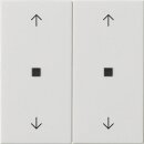 Gira 538603 Wippe 2-fach Pfeile Kontrollfenster System 55...