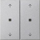 Gira 538626 Wippe 2-fach Pfeile Kontrollfenster System 55...