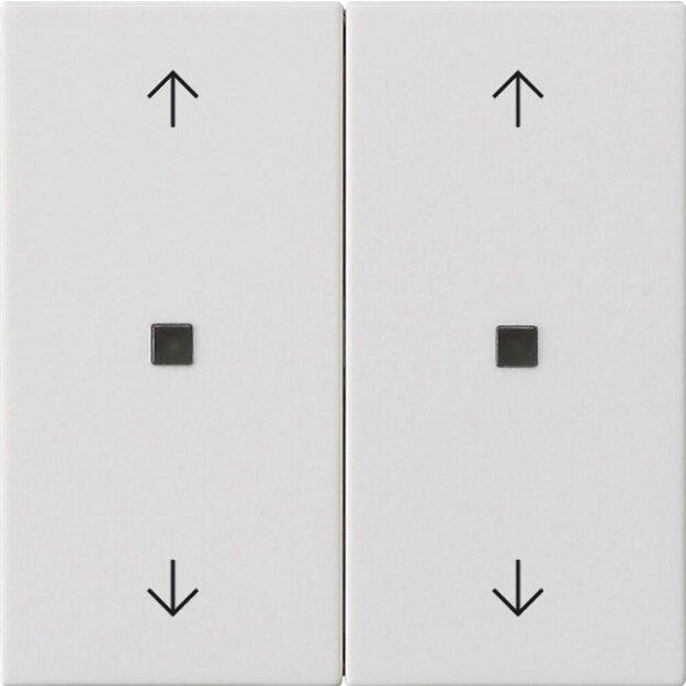 Gira 538627 Wippe 2-fach Pfeile Kontrollfenster System 55 Reinweiß matt