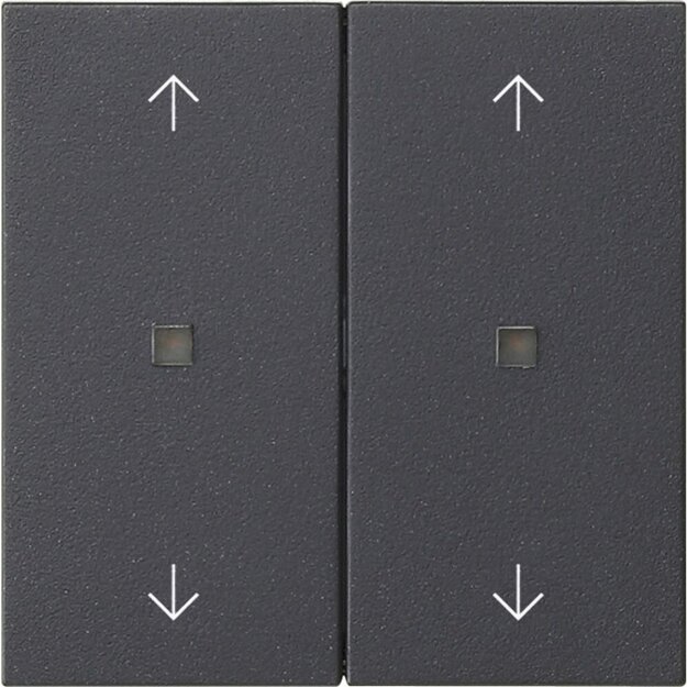 Gira 538628 Wippe 2-fach Pfeile Kontrollfenster System 55 Anthrazit