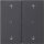 Gira 538628 Wippe 2-fach Pfeile Kontrollfenster System 55 Anthrazit