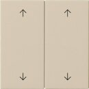 Gira 538701 Wippe 2-fach Pfeile System 55 Cremeweiß