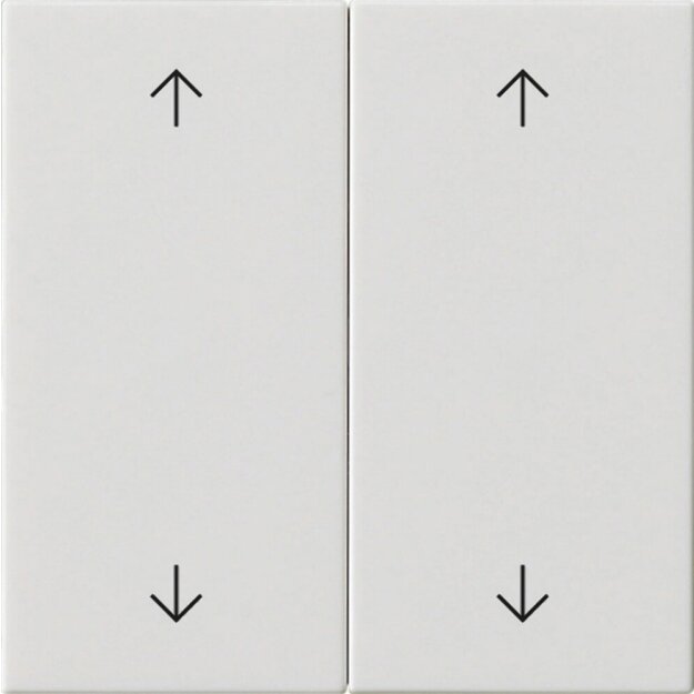 Gira 538703 Wippe 2-fach Pfeile System 55 Reinweiß