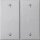 Gira 538726 Wippe 2-fach Pfeile System 55 F Alu