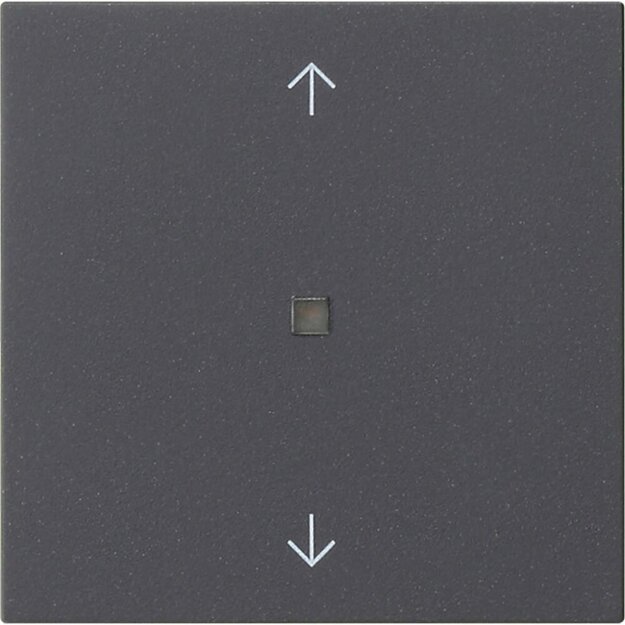 Gira 538828 Wippe 1-fach Pfeile Kontrollfenster System 55 Anthrazit