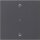 Gira 538828 Wippe 1-fach Pfeile Kontrollfenster System 55 Anthrazit