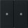 Gira 5107005 KNX RF Bedienaufsatz 2-fach System 55 Schwarz matt