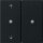 Gira 5108005 KNX RF Bedienaufsatz 2-fach Pfeile System 55 Schwarz matt