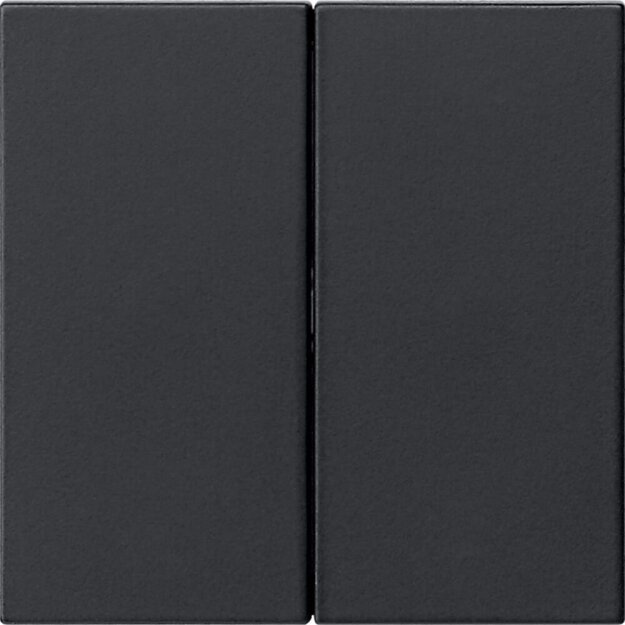 Gira 5370005 Wippe 2-fach unbedruckt System 55 Schwarz matt