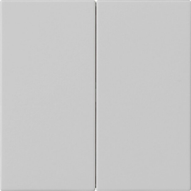 Gira 5370015 Wippe 2-fach unbedruckt System 55 Grau matt