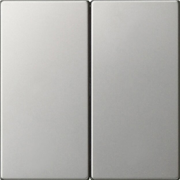 Gira 5370600 Wippe 2-fach unbedruckt System 55 Edelstahl