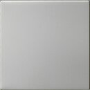 Gira 5372600 Wippe 1-fach unbedruckt System 55 Edelstahl