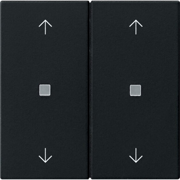 Gira 5386005 Wippe 2-fach Pfeile Kontrollfenster System 55 Schwarz matt