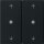 Gira 5386005 Wippe 2-fach Pfeile Kontrollfenster System 55 Schwarz matt