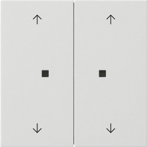 Gira 5386112 Wippe 2-fach Pfeile Kontrollfenster Flächenschalter Reinweiß