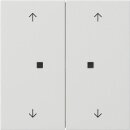 Gira 5386112 Wippe 2-fach Pfeile Kontrollfenster...