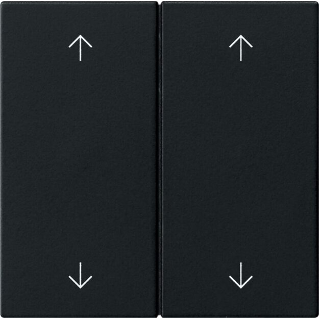 Gira 5387005 Wippe 2-fach Pfeile System 55 Schwarz matt