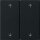 Gira 5387005 Wippe 2-fach Pfeile System 55 Schwarz matt