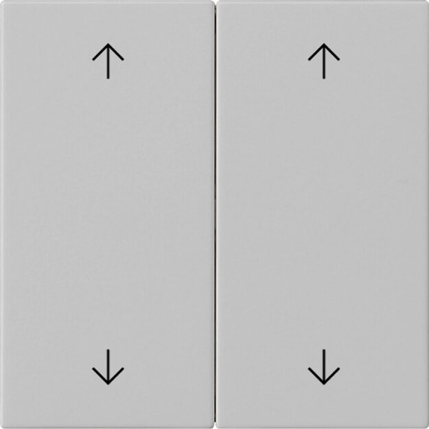 Gira 5387015 Wippe 2-fach Pfeile System 55 Grau matt