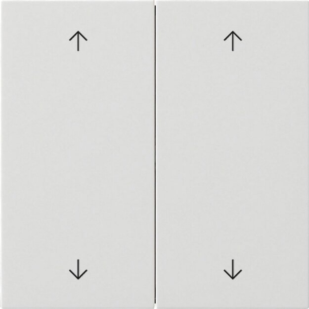 Gira 5387112 Wippe 2-fach Pfeile Flächenschalter Reinweiß