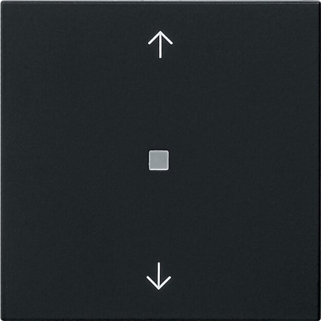 Gira 5388005 Wippe 1-fach Pfeile Kontrollfenster System 55 Schwarz matt