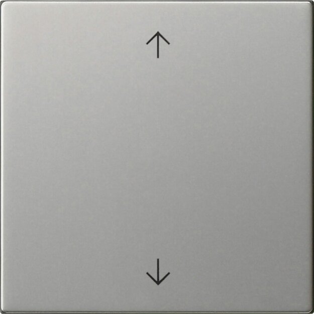 Gira 5389600 Wippe 1-fach Pfeile System 55 Edelstahl