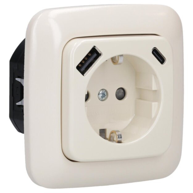 Busch-Jaeger 2x USB-Set weiß: 1x 20 EUCB2USBAC-212 USB-A + C Steckdose + 1x 2511-212 1-fach Rahmen Duro SI