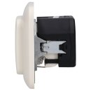 Busch-Jaeger 2x USB-Set weiß: 1x 20 EUCB2USBAC-212 USB-A + C Steckdose + 1x 2511-212 1-fach Rahmen Duro SI