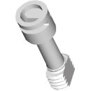 Spelsberg 19001001 Deckelschraube TK DS-ku/g