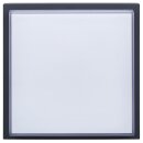 Bega 24770K3 Decken- und Wandleuchte für den Innen-...