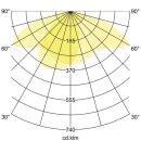 Brumberg 60806644 100 W Fluter MATRIX 4000 K asymmetrisch titan matt